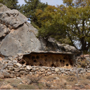 Oyma Kara Kovan Yüksek Rakım Balı