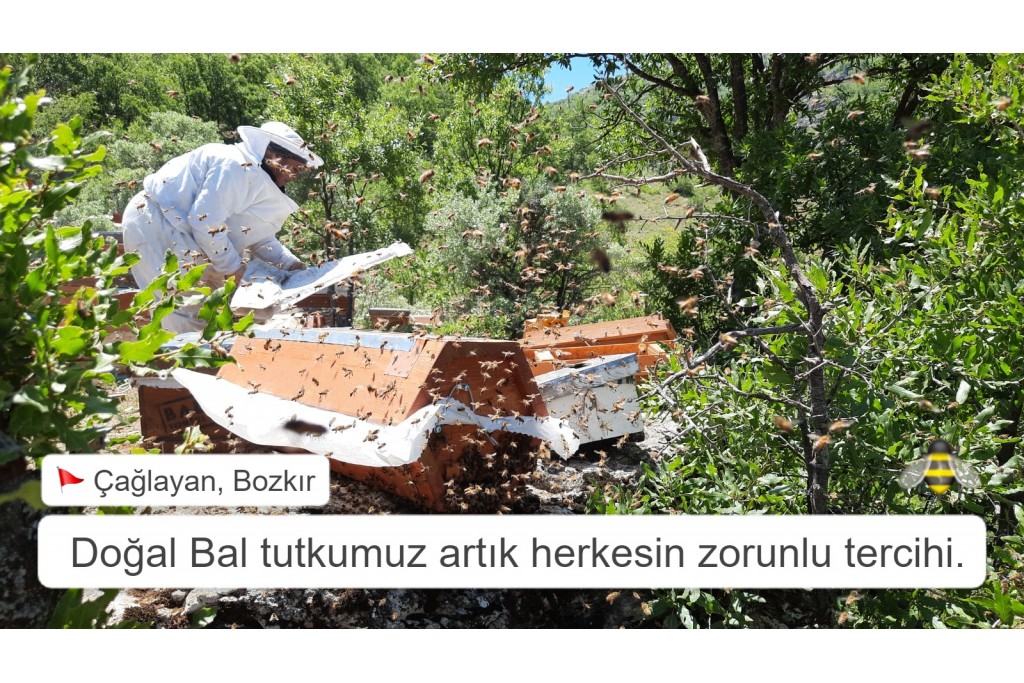  Doğal Bal tutkumuz artık herkesin zorunlu tercihi.